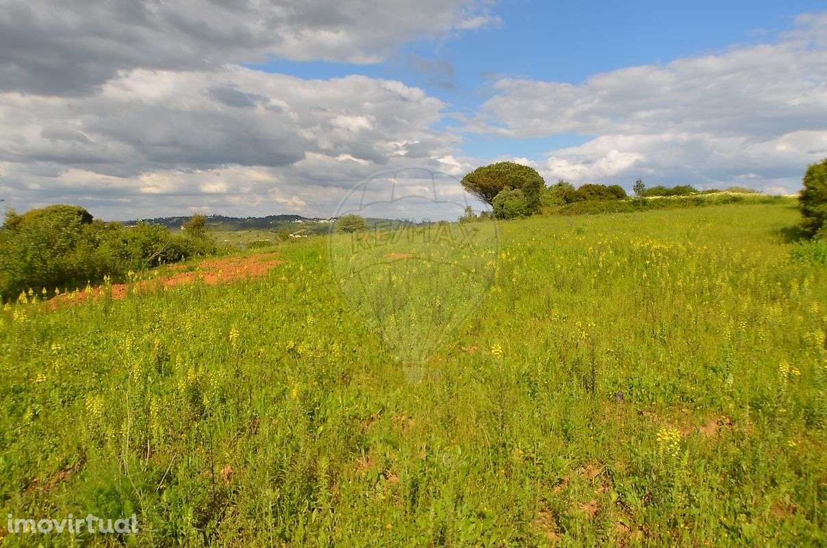 Terreno  para venda - Grande imagem: 2/11