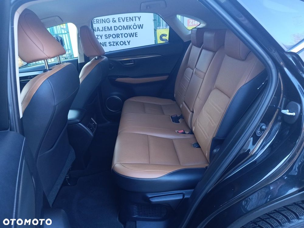 Lexus NX 300 Comfort AWD - 17