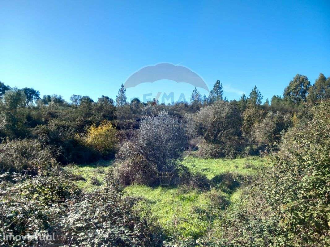 Terreno  para venda - Grande imagem: 2/3