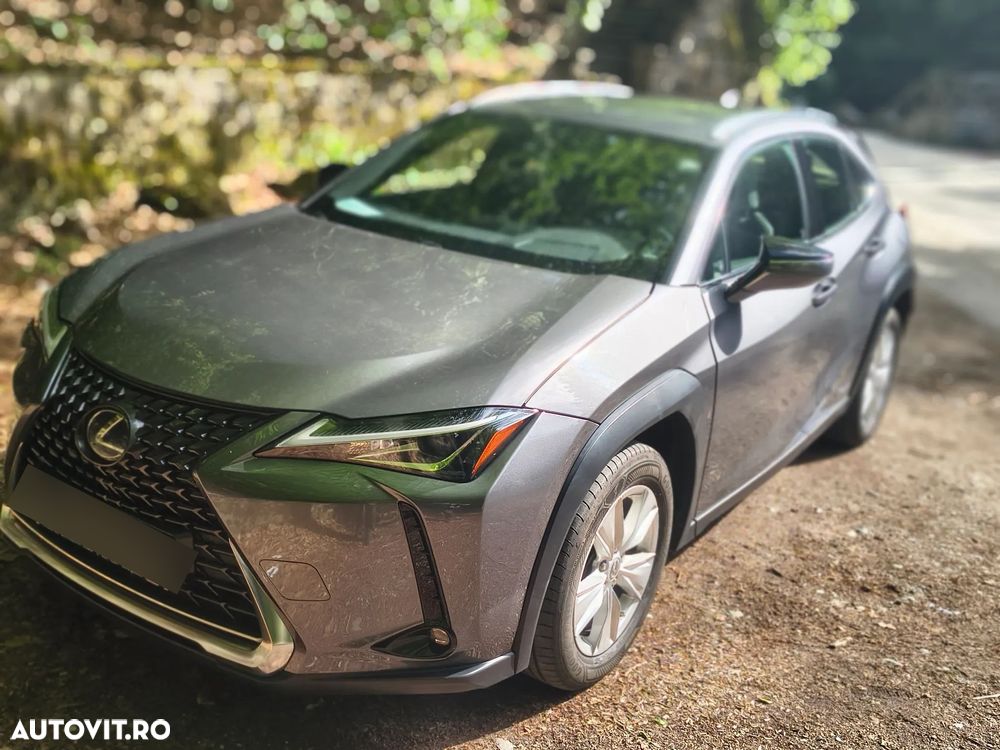 Lexus UX 250h (E-FOUR) Business Edition - 22
