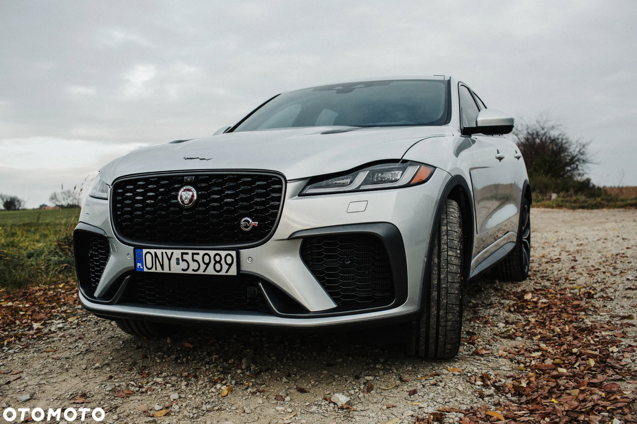 Jaguar F-Pace 5.0 V8 P550 AWD SVR - 3