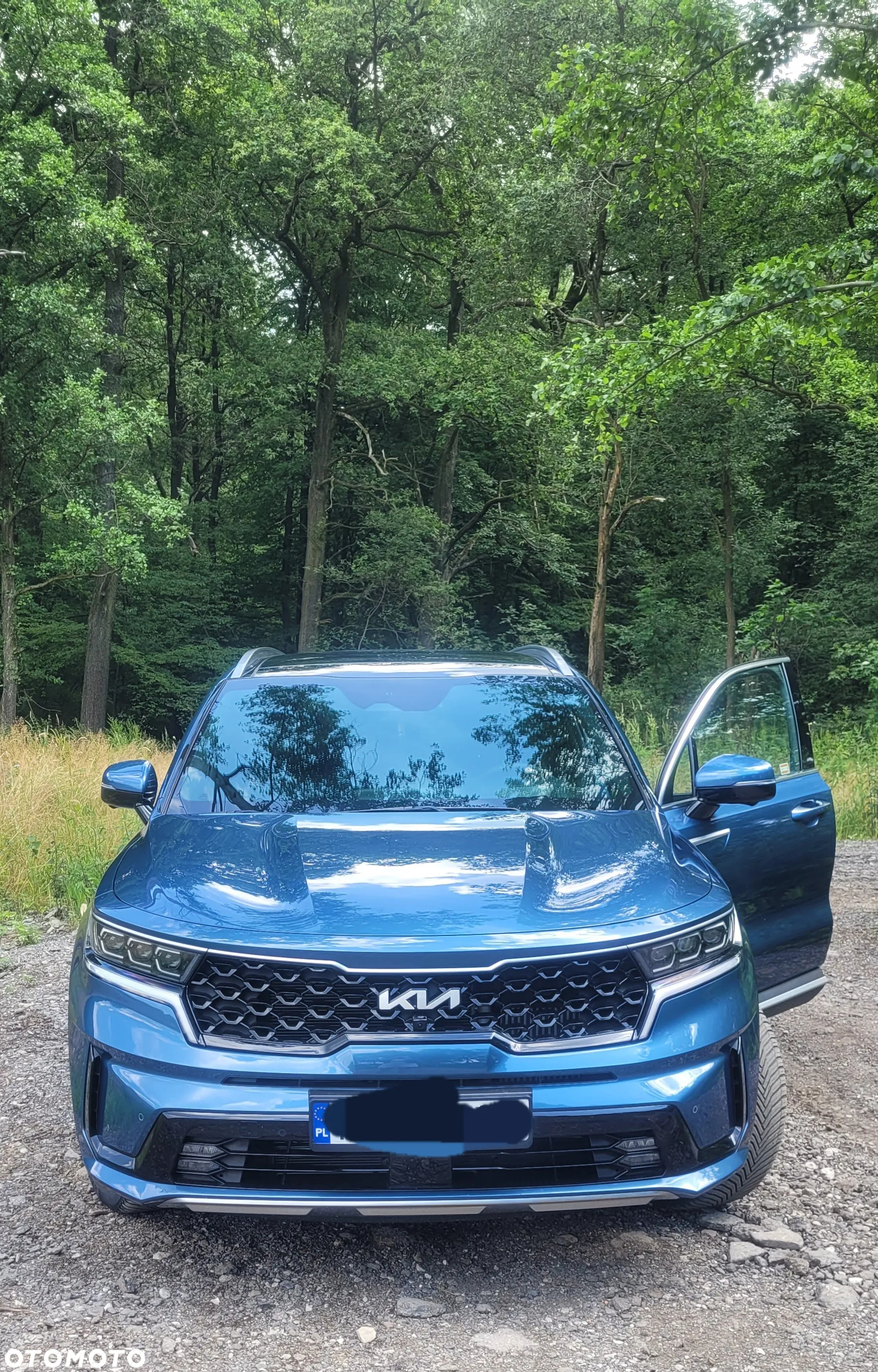 Kia Sorento 1.6 T-GDI HEV Prestige Line 4WD - 2