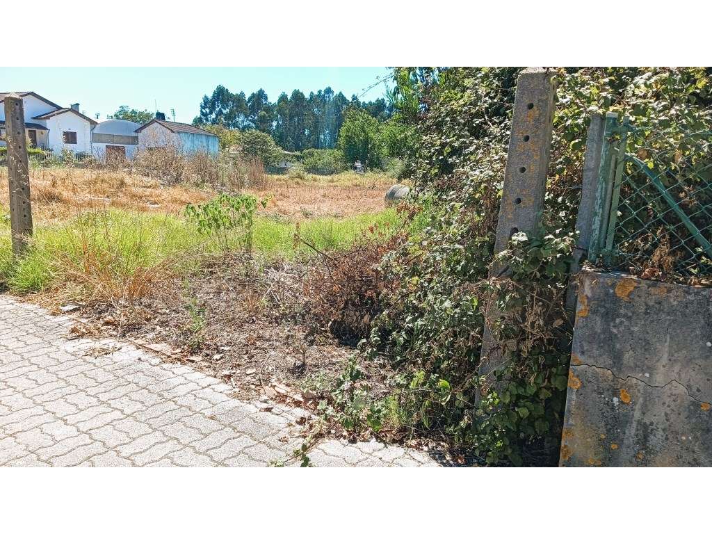 Terreno para construção de moradia- Vagos Próximo ao LIDL - Grande imagem: 4/16