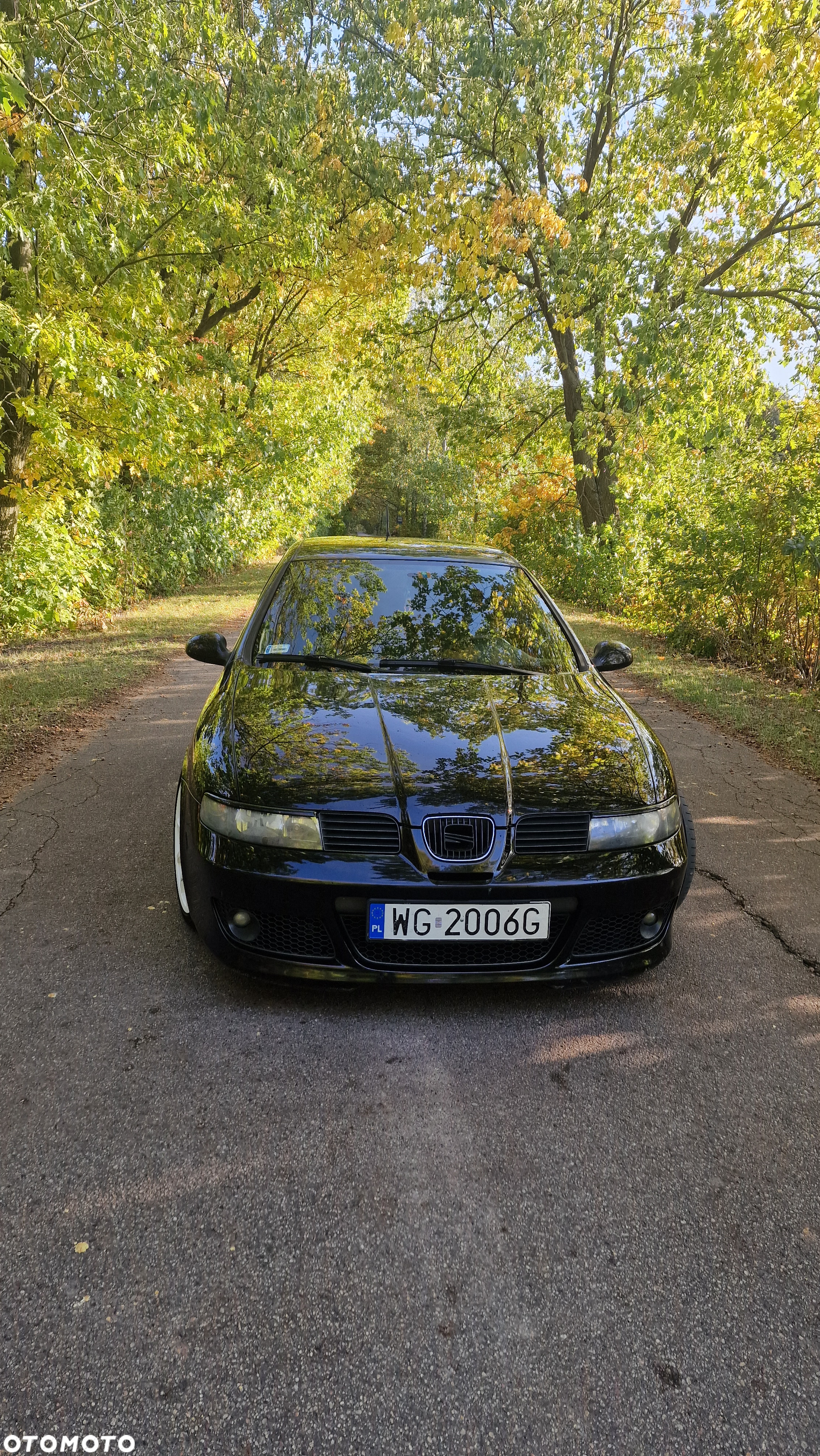 Seat Leon 1.8T Cupra R - 4