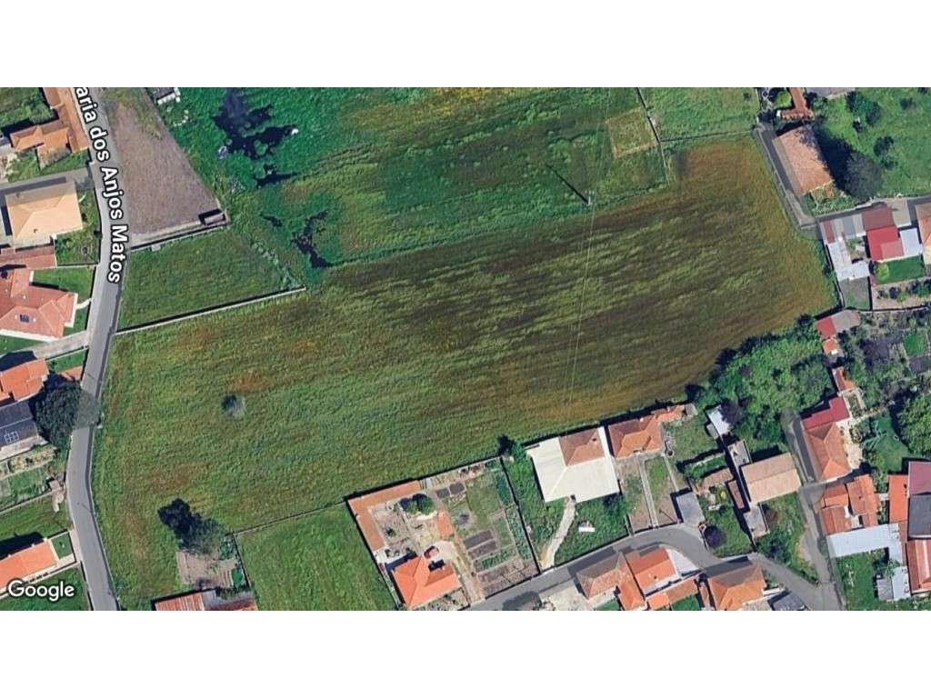TERRENO NA MURTOSA - Grande imagem: 3/3