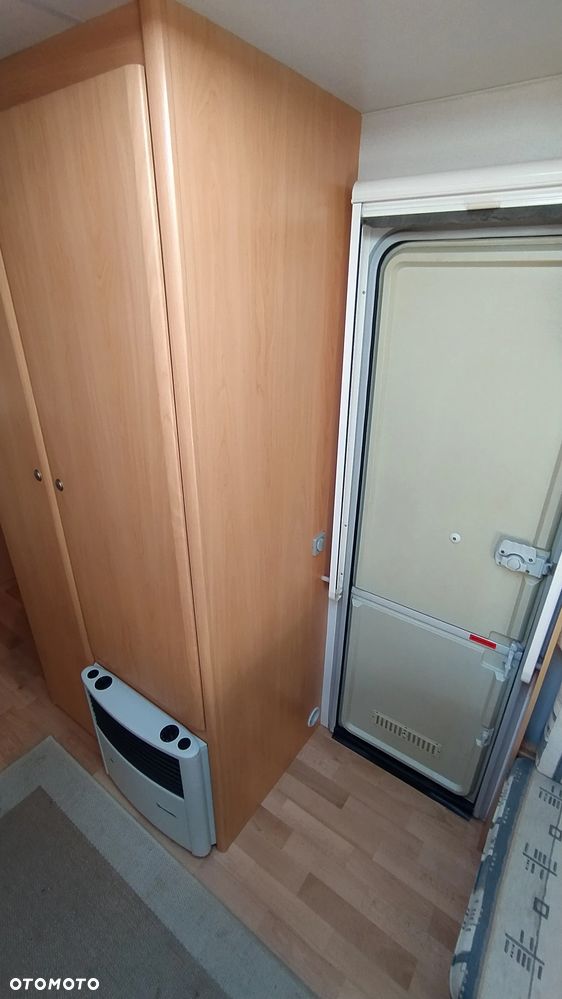 Wilk sport - 37