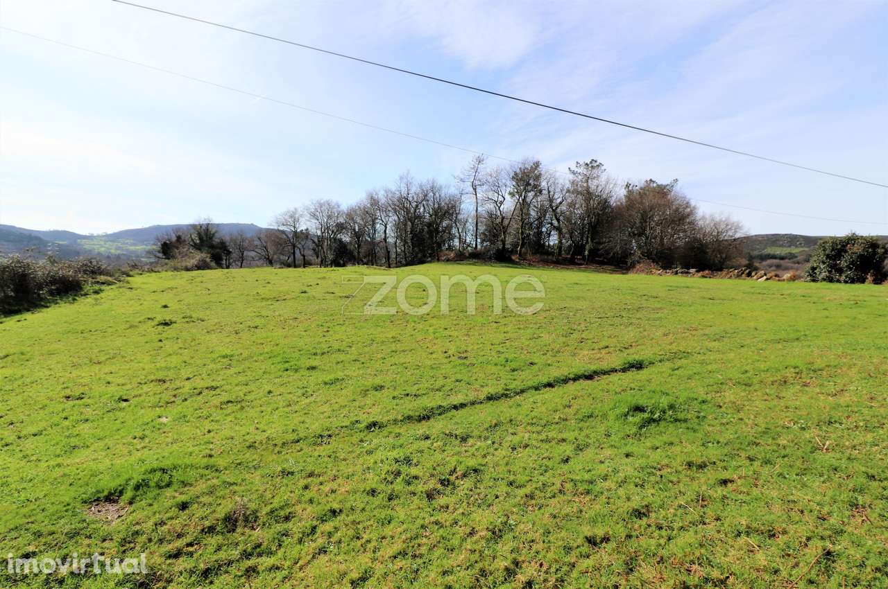 Terreno em casais de vide - Aboim da - Vila Verde - Grande imagem: 5/8
