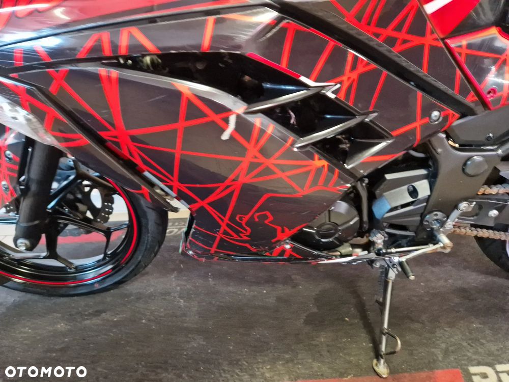 Kawasaki Ninja 300 ABS - 12