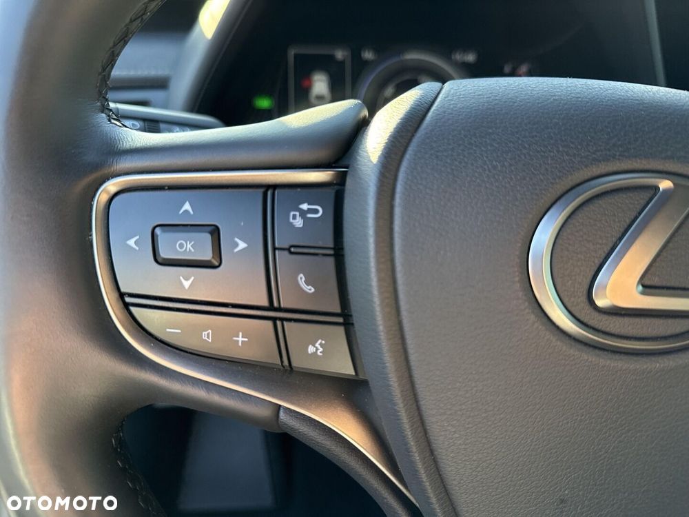 Lexus UX 250h GPF F Sport Design 2WD - 19