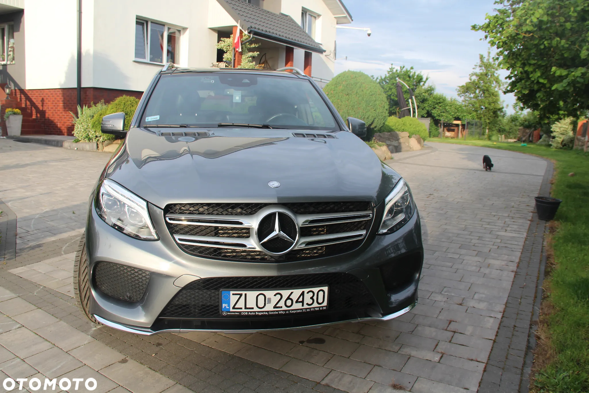 Mercedes-Benz GLE 350 d 4-Matic - 2