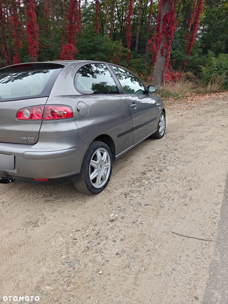 Seat Ibiza - 4
