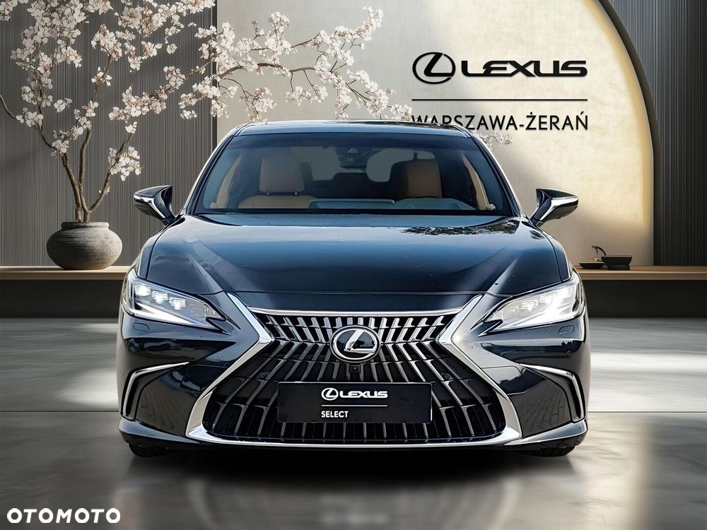 Lexus ES 300h Omotenashi - 10