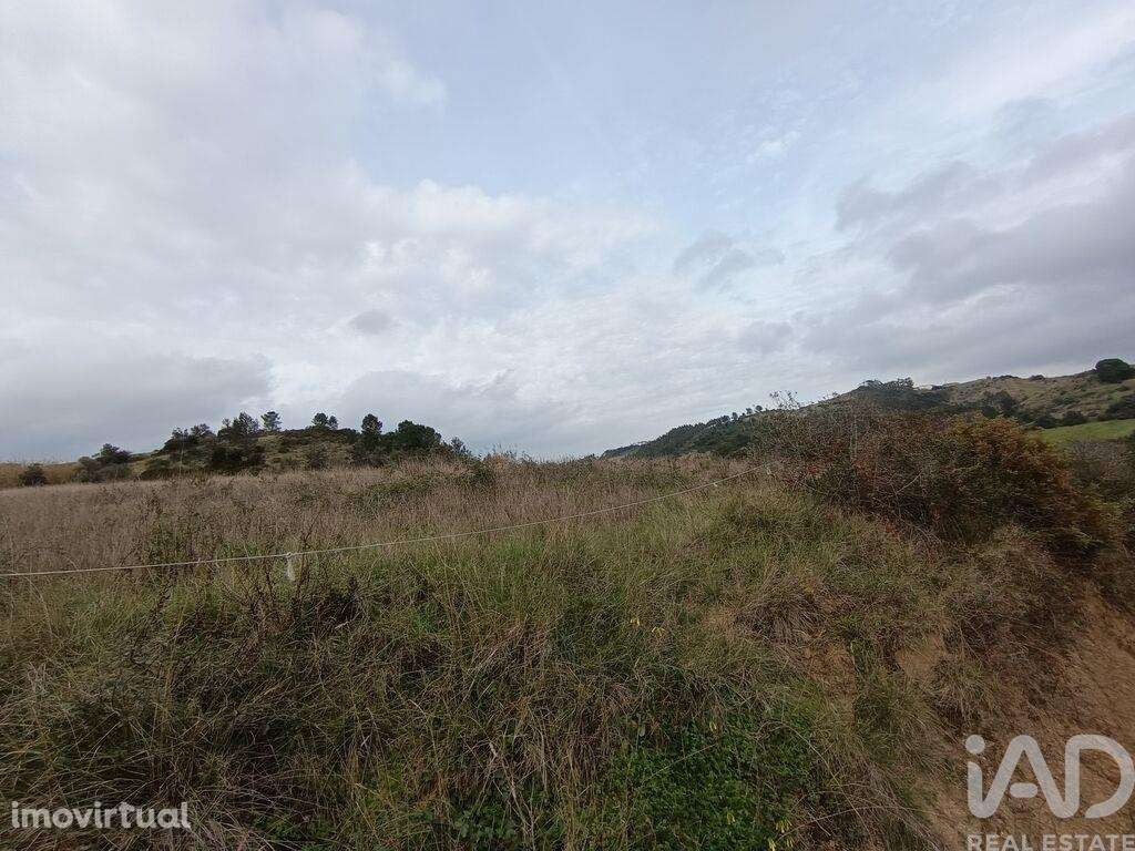 Terreno em Vila Verde dos Francos de 14040,00 m2 - Grande imagem: 3/25
