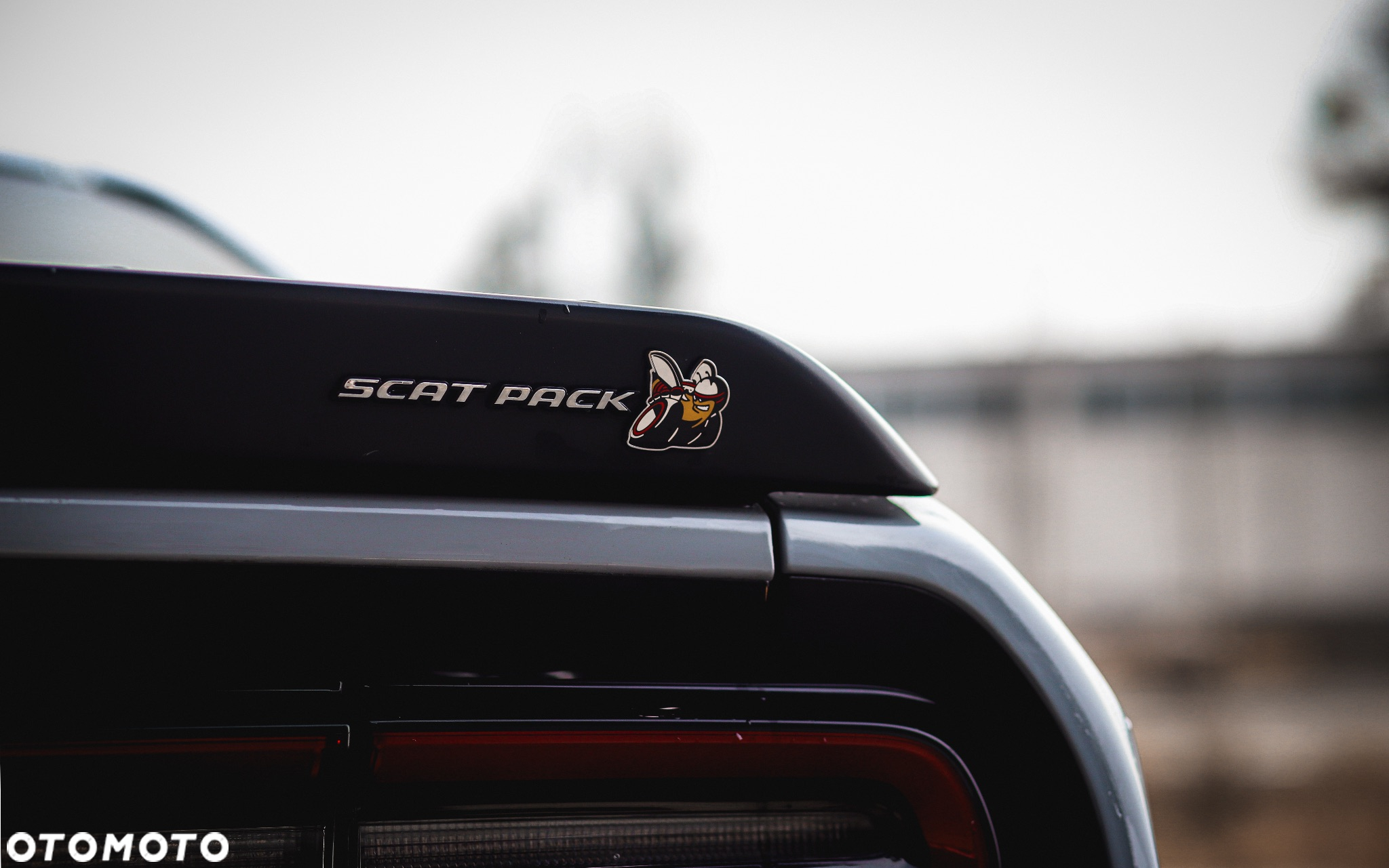 Dodge Challenger 6.4 Scat Pack - 9