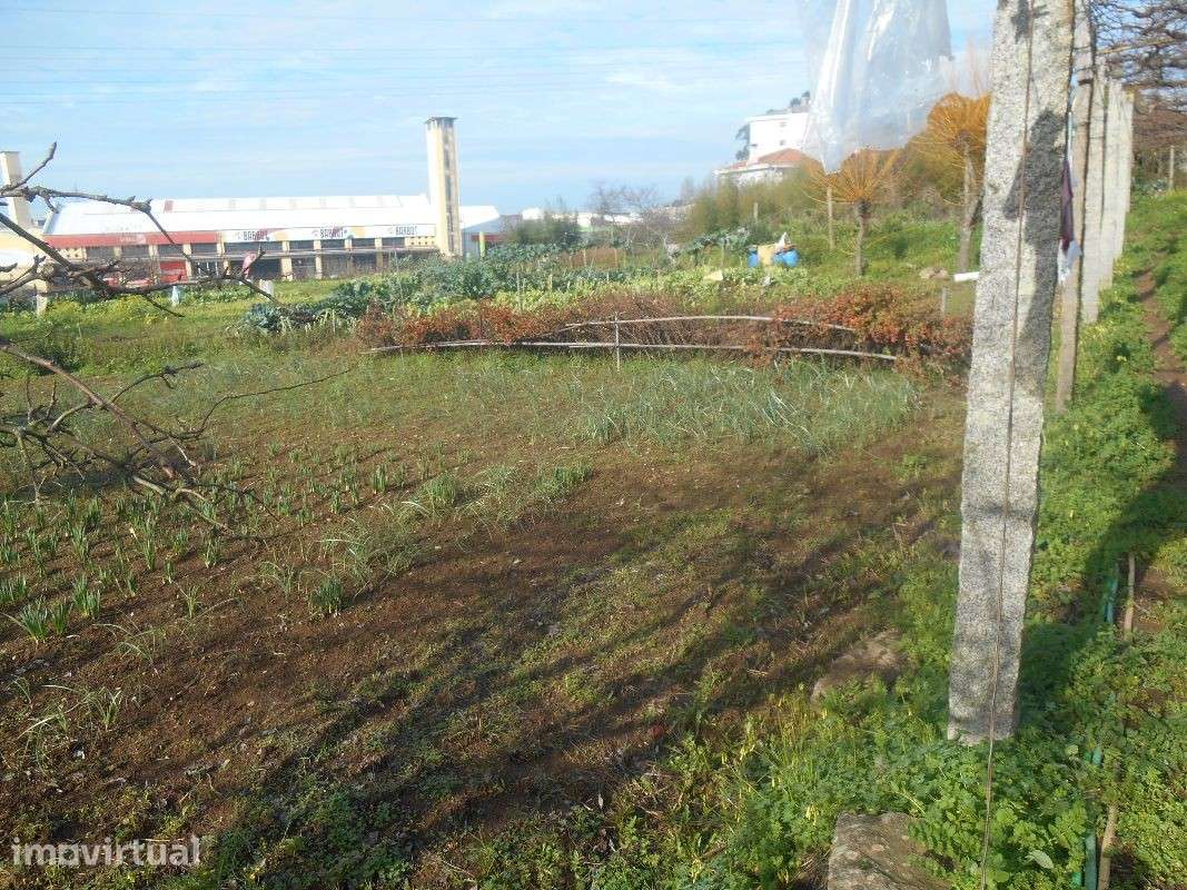 Terreno - Laborim (Vila Nova de Gaia) - Grande imagem: 4/13
