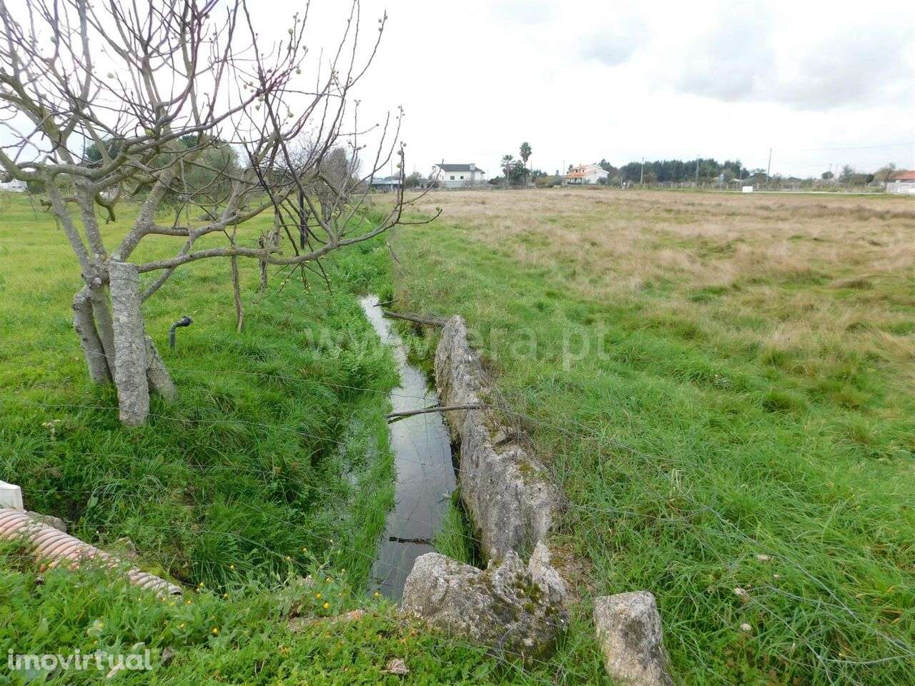 Terreno / Seia, Tourais e Lajes - Grande imagem: 3/10