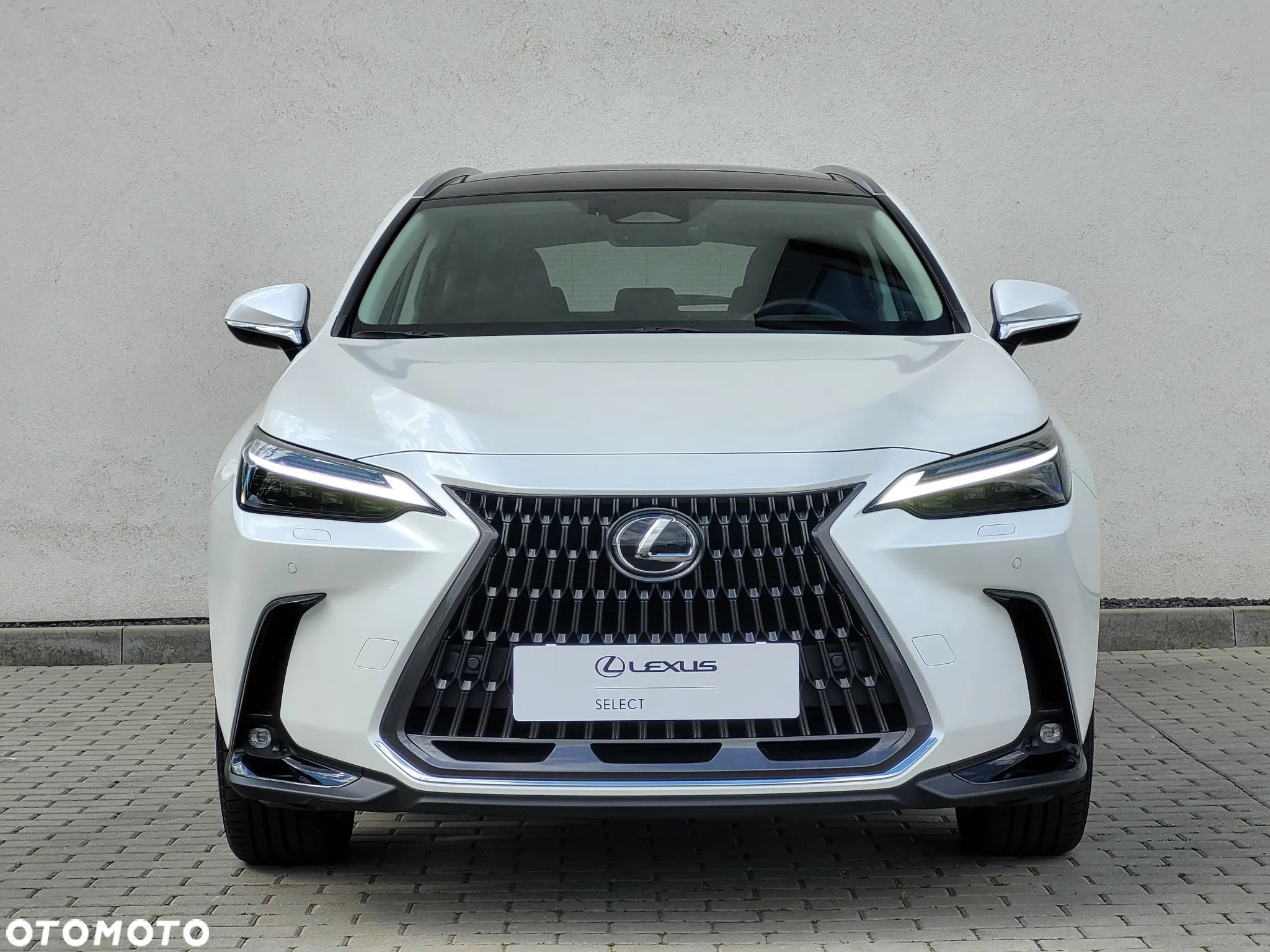 Lexus NX 350h Prestige AWD - 23