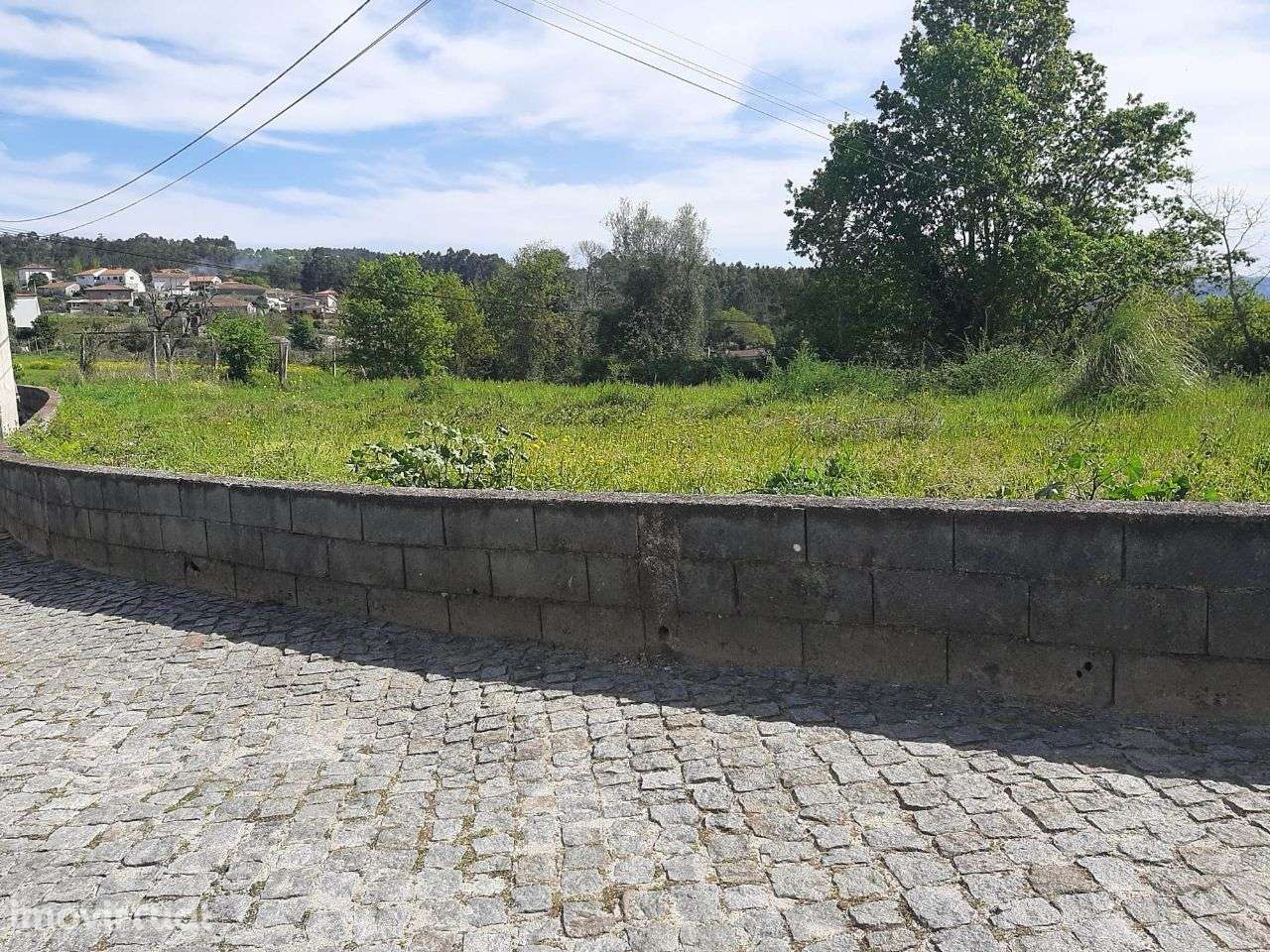Arrenda Terreno Apróx. 3.000m2 Termas São Vicente Penafiel - Grande imagem: 4/8