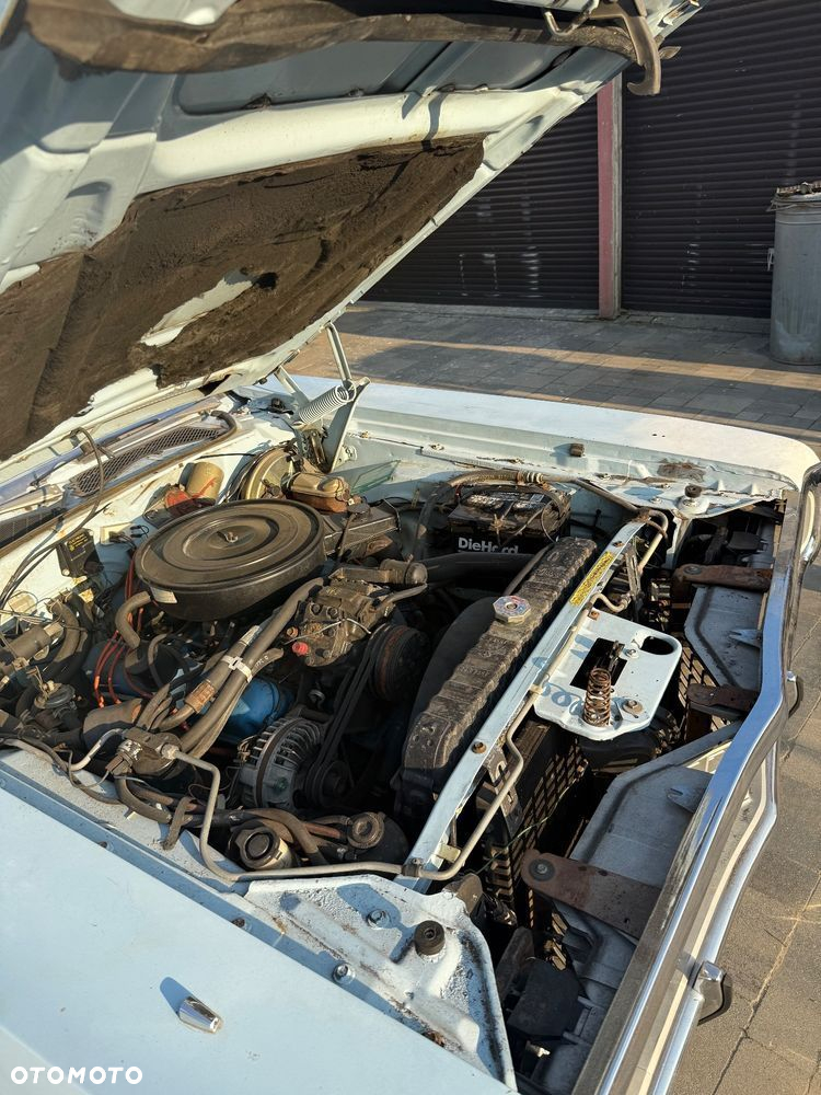 Dodge Inny - 5