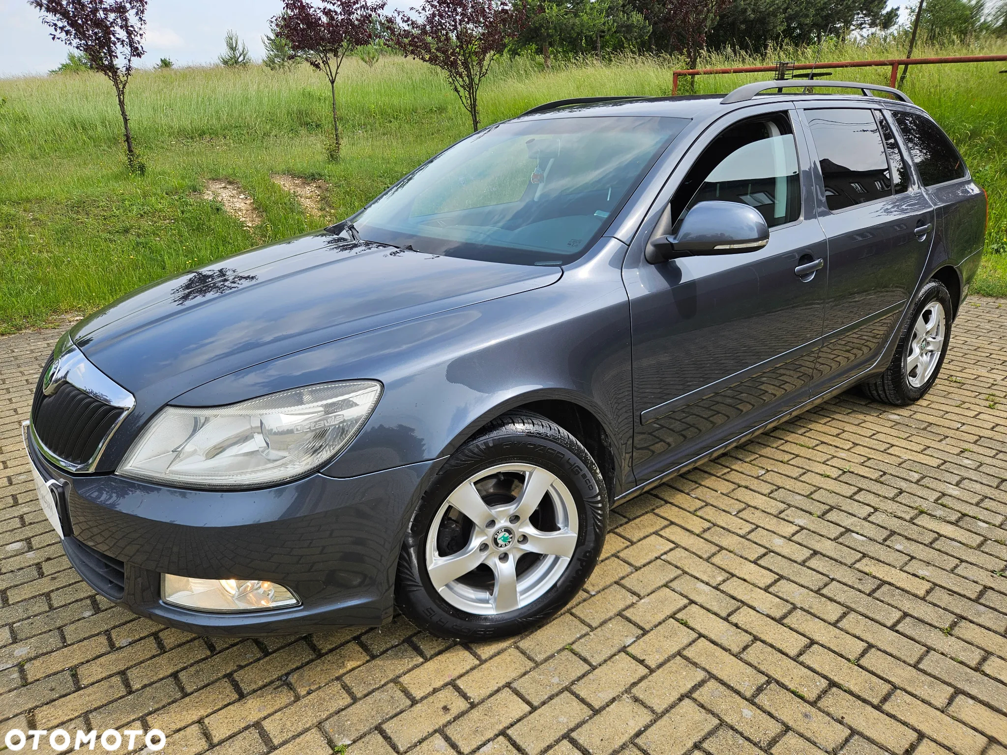 Skoda Octavia 1.9 TDI Classic - 2