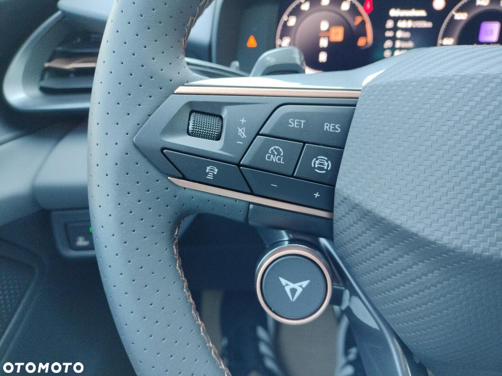Cupra Terramar 2.0 TSI 4Drive DSG - 24