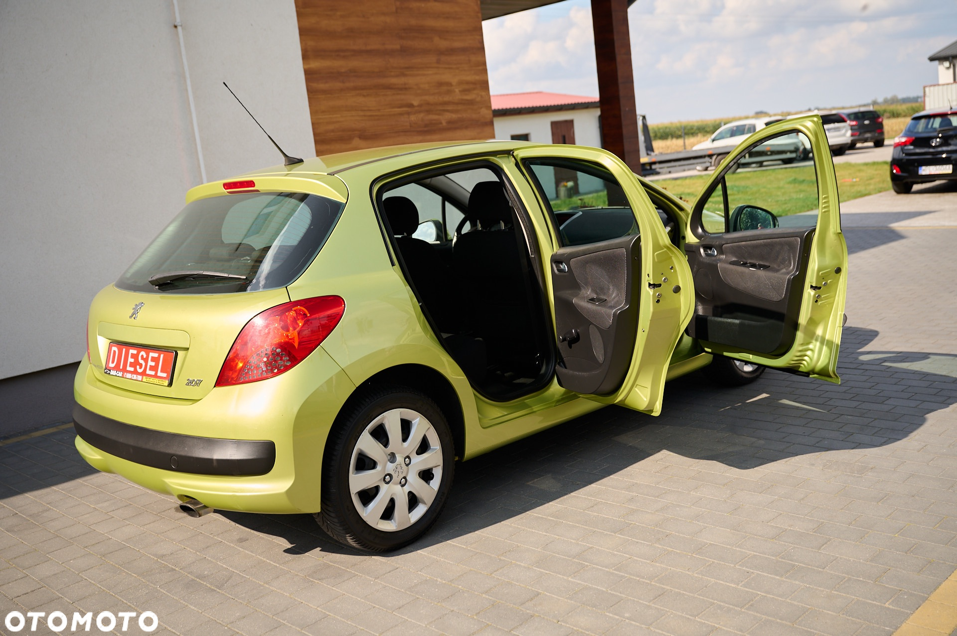 Peugeot 207 - 19