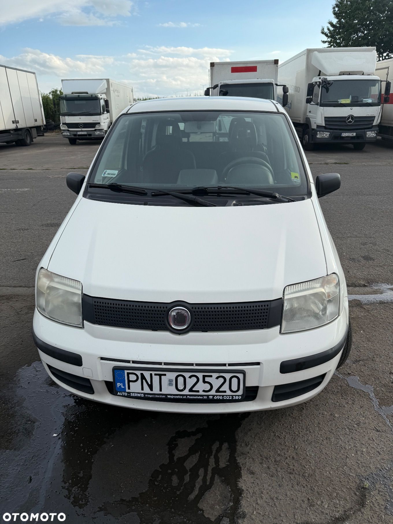 Fiat Panda 1.1 Active Alaska - 1