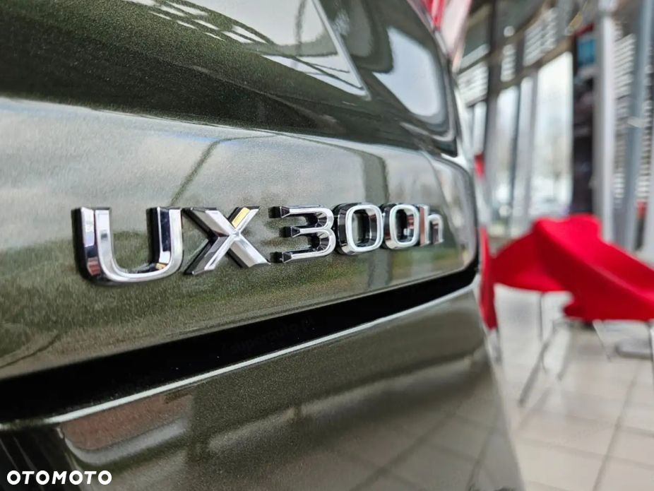 Lexus UX 300h F Sport - 16