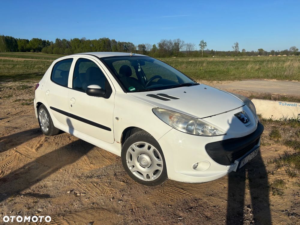 Peugeot 206 plus - 3