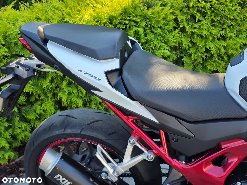 Honda Hornet - 9
