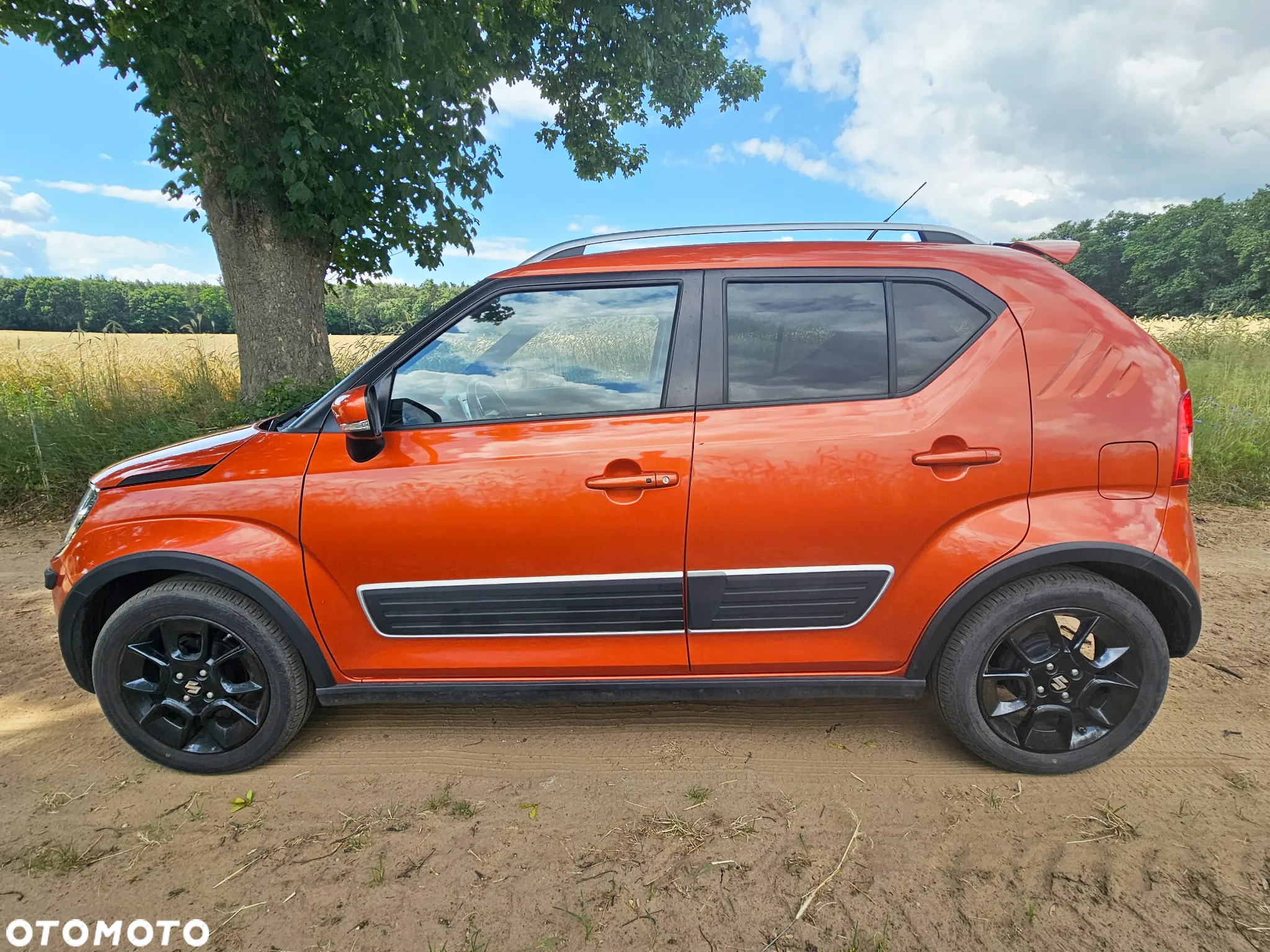 Suzuki Ignis 1.2 Elegance 4WD - 6