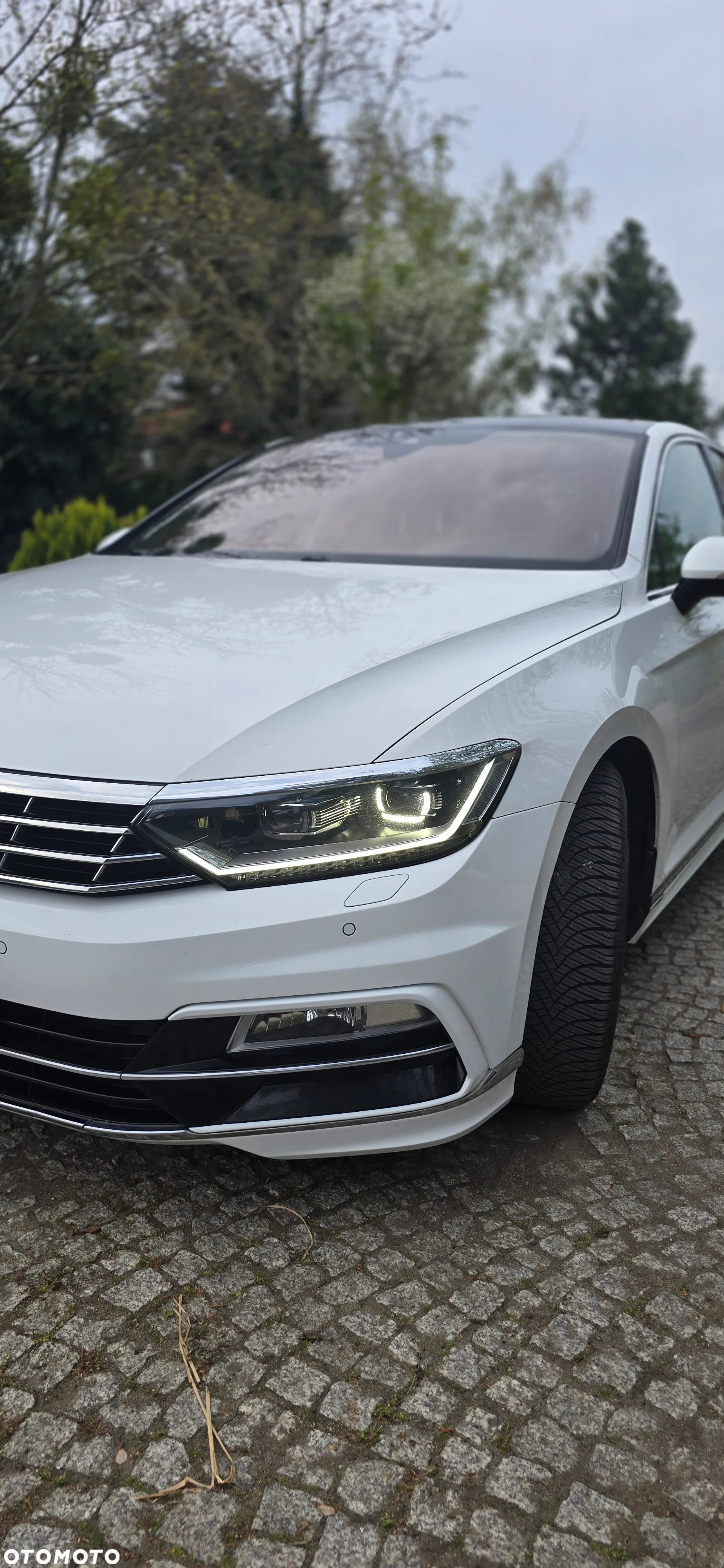 Volkswagen Passat - 18