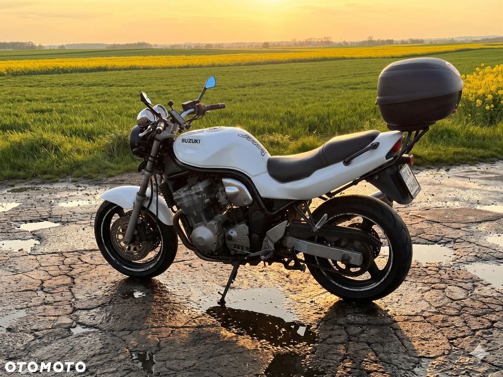 Suzuki Bandit - 2