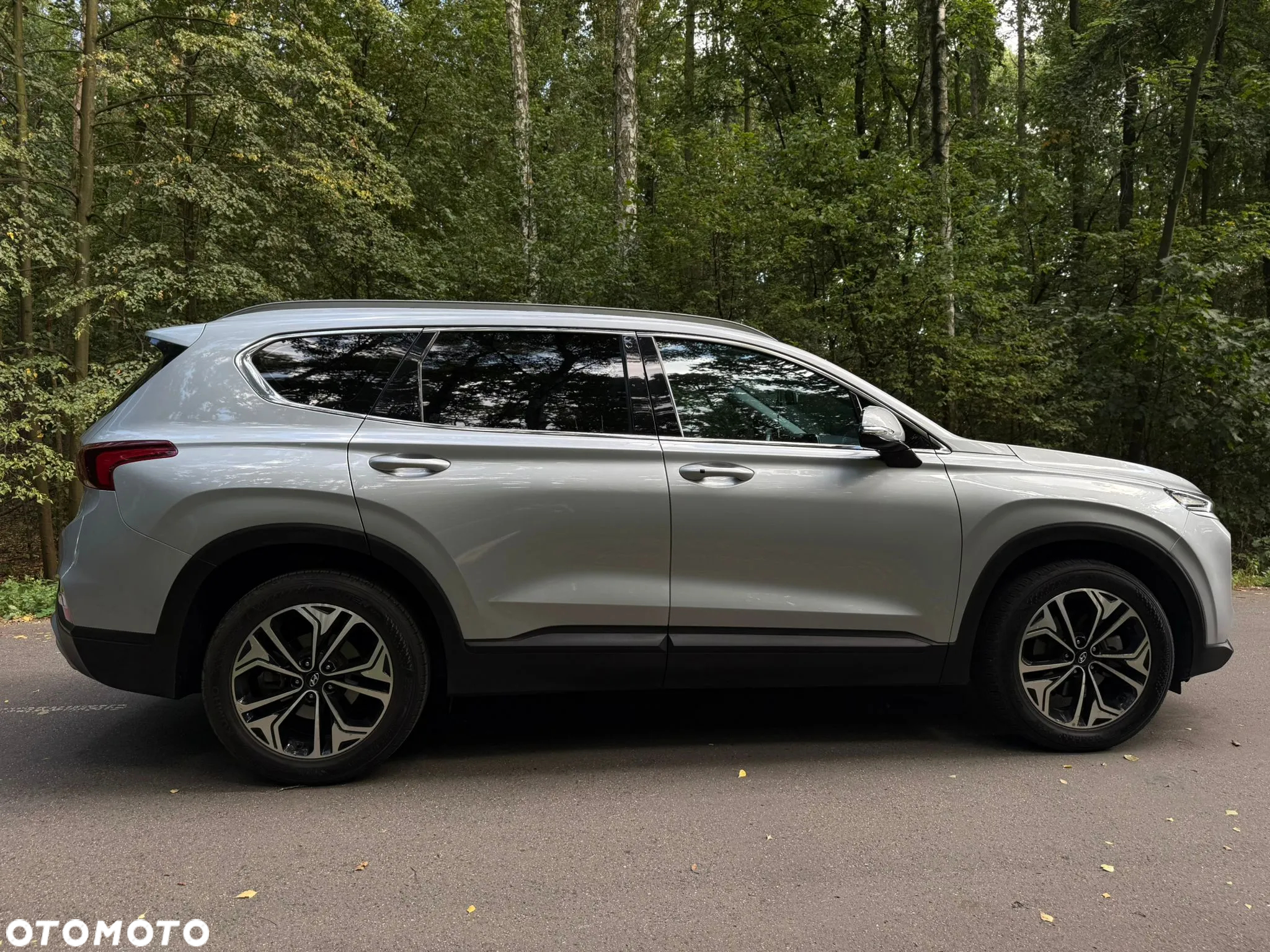Hyundai Santa Fe - 7