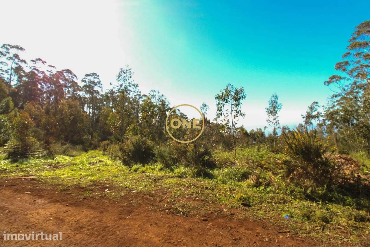 Terreno - Grande imagem: 4/10