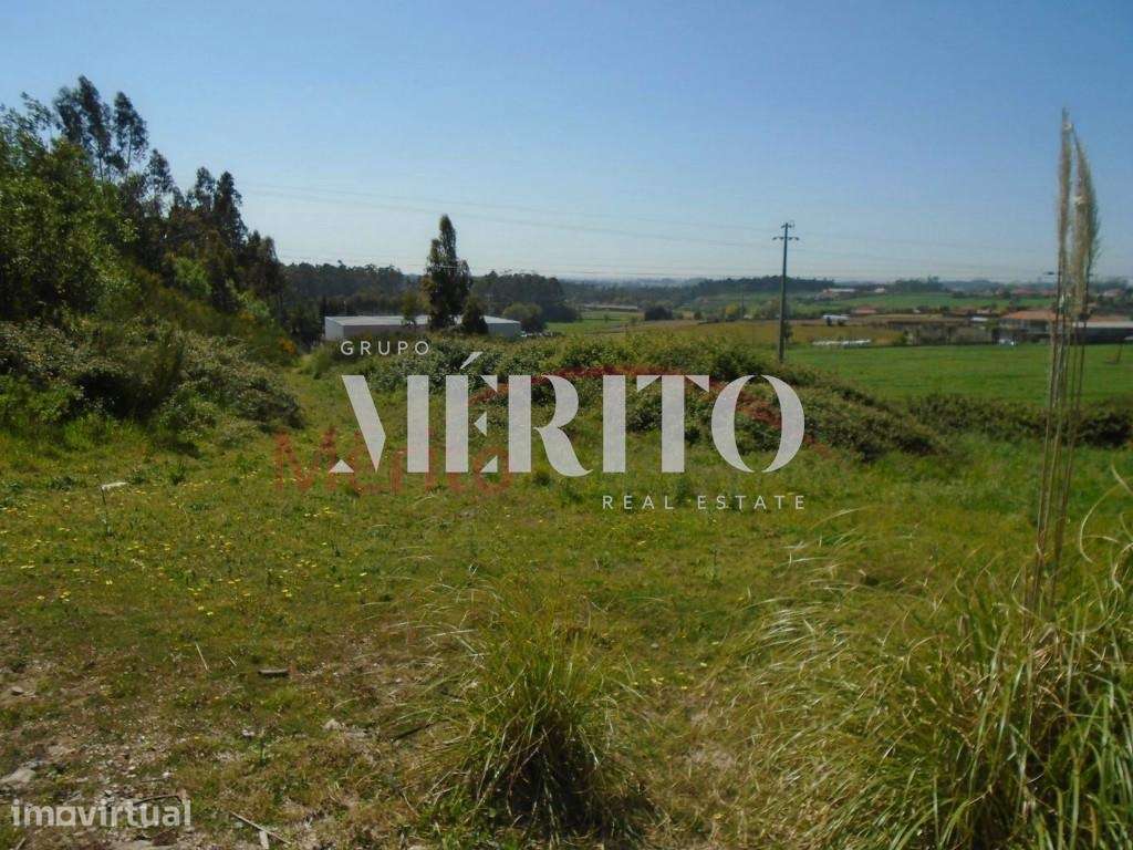 Terreno para construção  em Paradela S.Martinho de Bougado-  Trofa - Grande imagem: 2/13