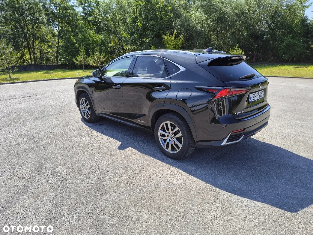 Lexus NX - 10
