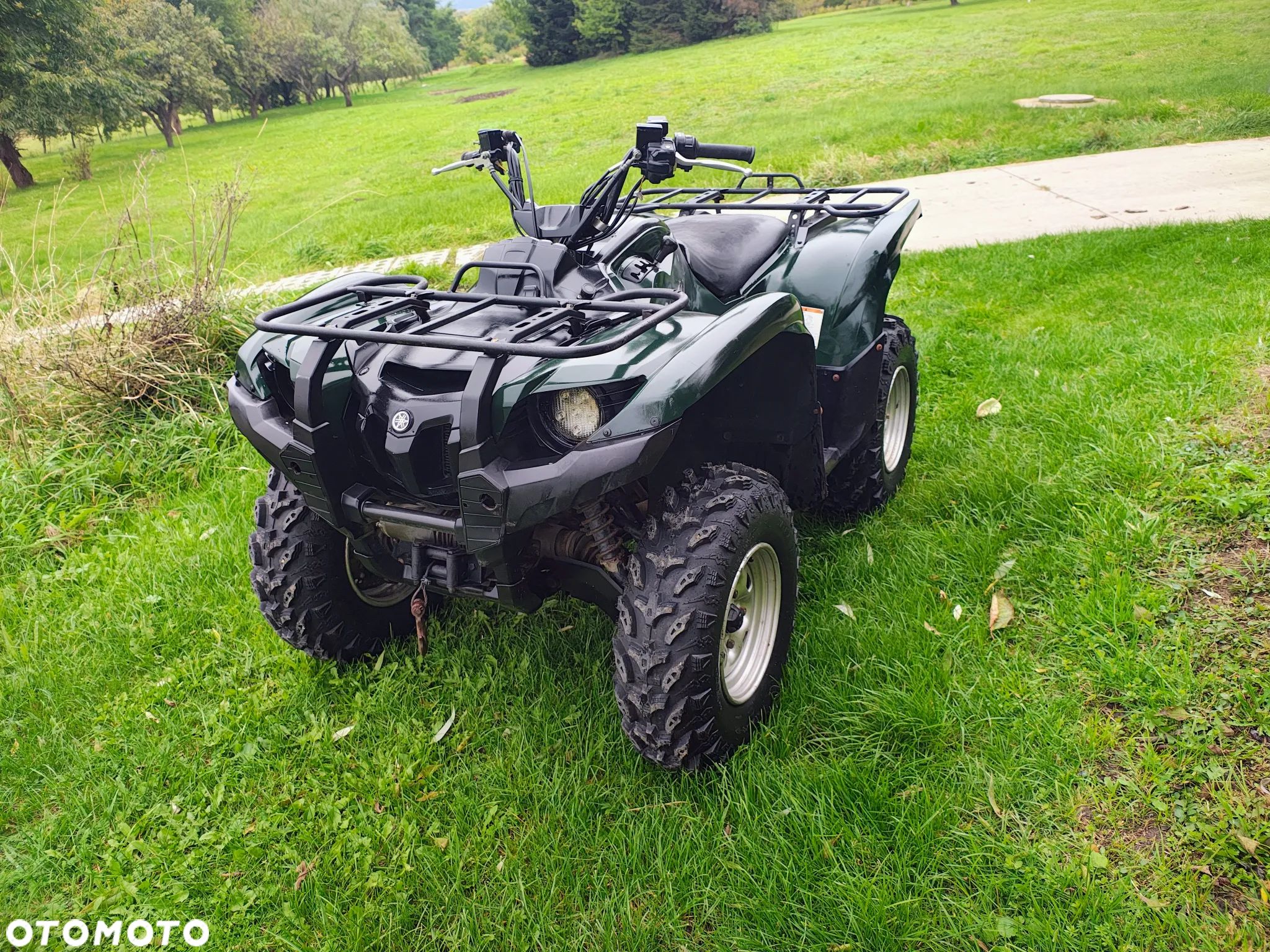 Yamaha Grizzly - 1