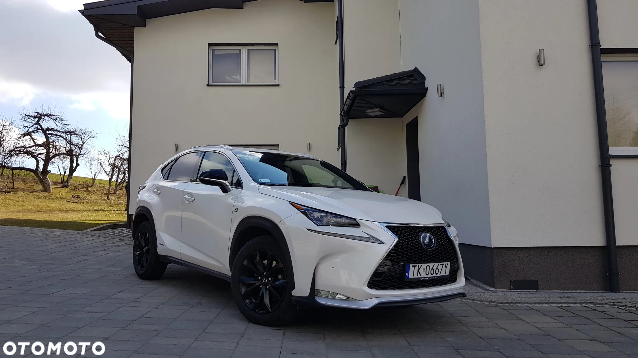 Lexus NX 300h - 14
