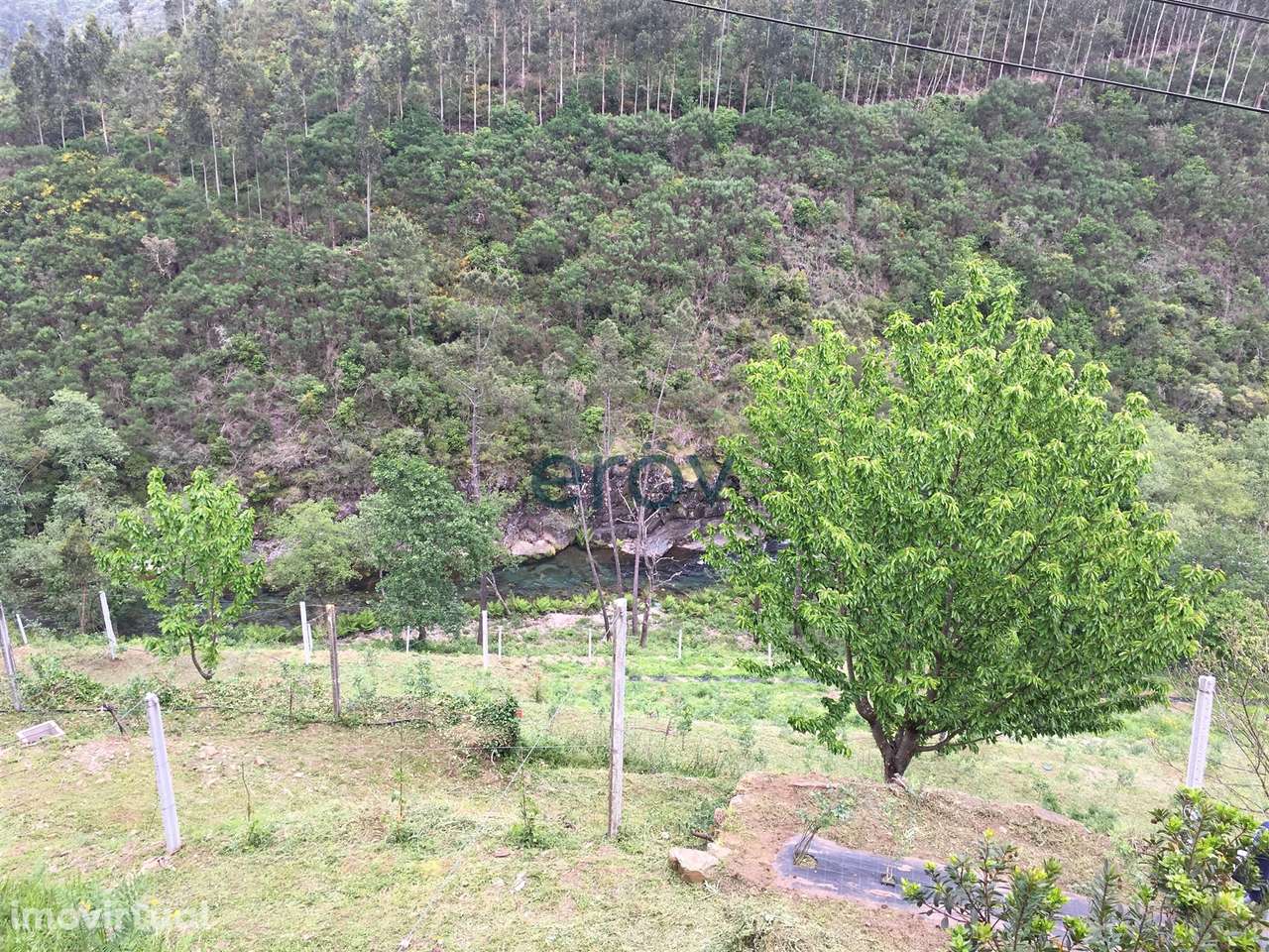 Quinta em Arouca - Moldes - Grande imagem: 3/10