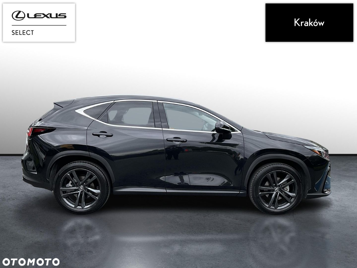 Lexus NX - 6