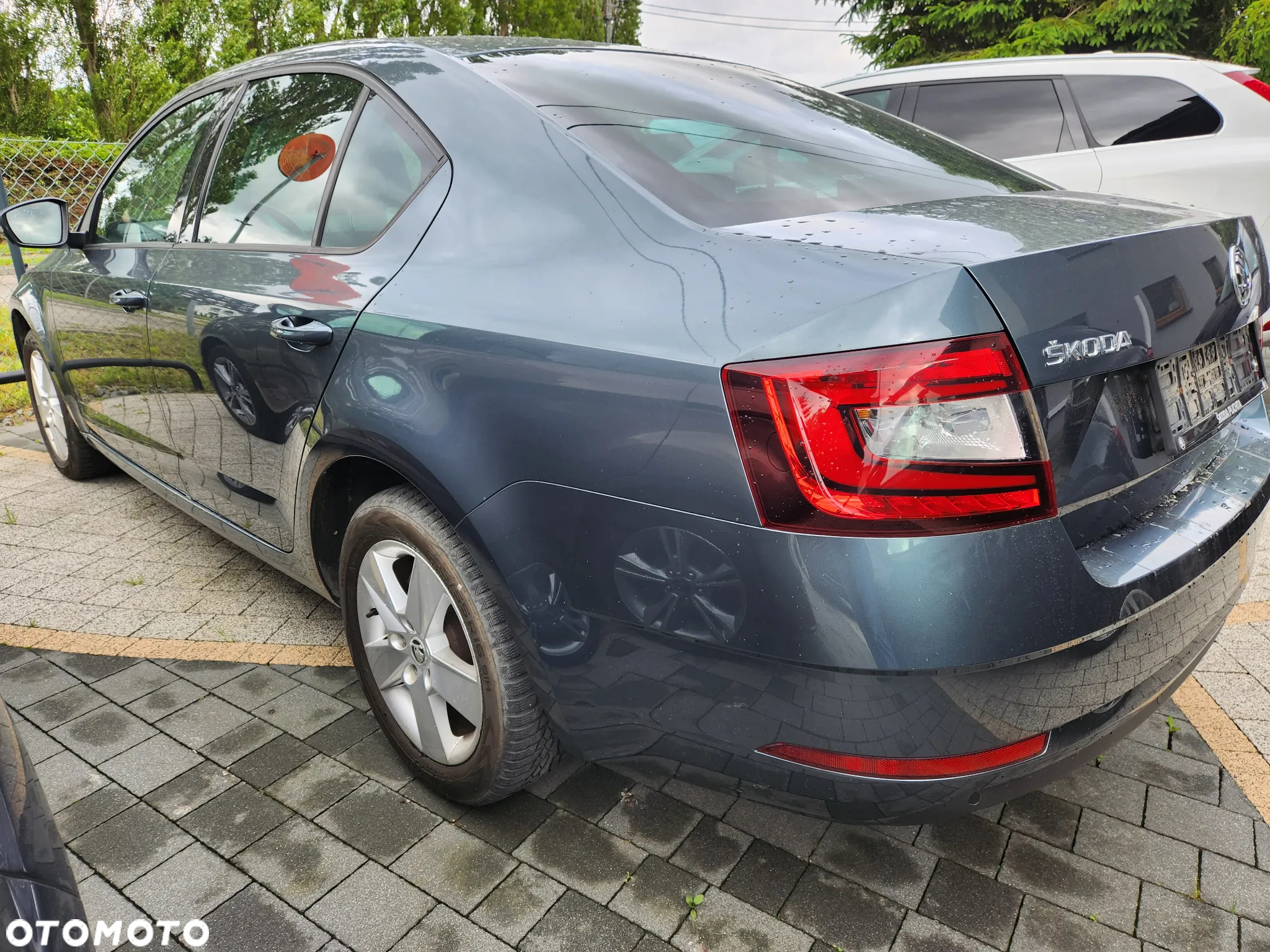 Skoda Octavia 1.6 TDI Business - 4
