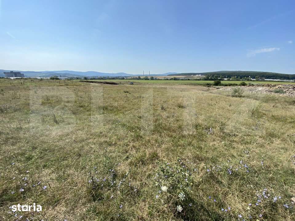 Teren extravilan Criseni, 3800 mp - Imagine principală: 3/5
