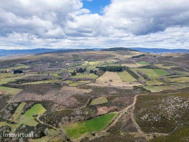 Fantástico terreno Agrícola - Chã, Montalegre - Grande imagem: 4/9