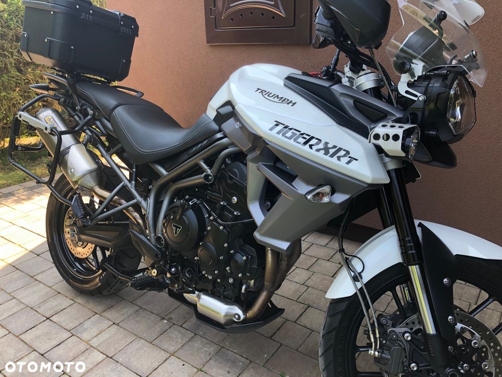 Triumph Tiger - 5