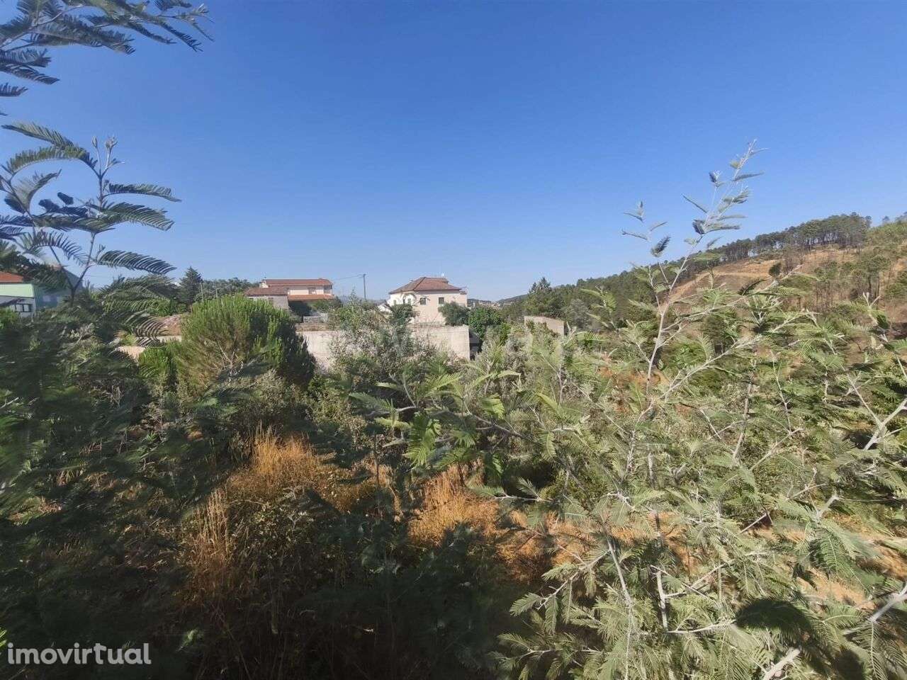 Terreno Rústico / Fundão, Silvares - Grande imagem: 2/7