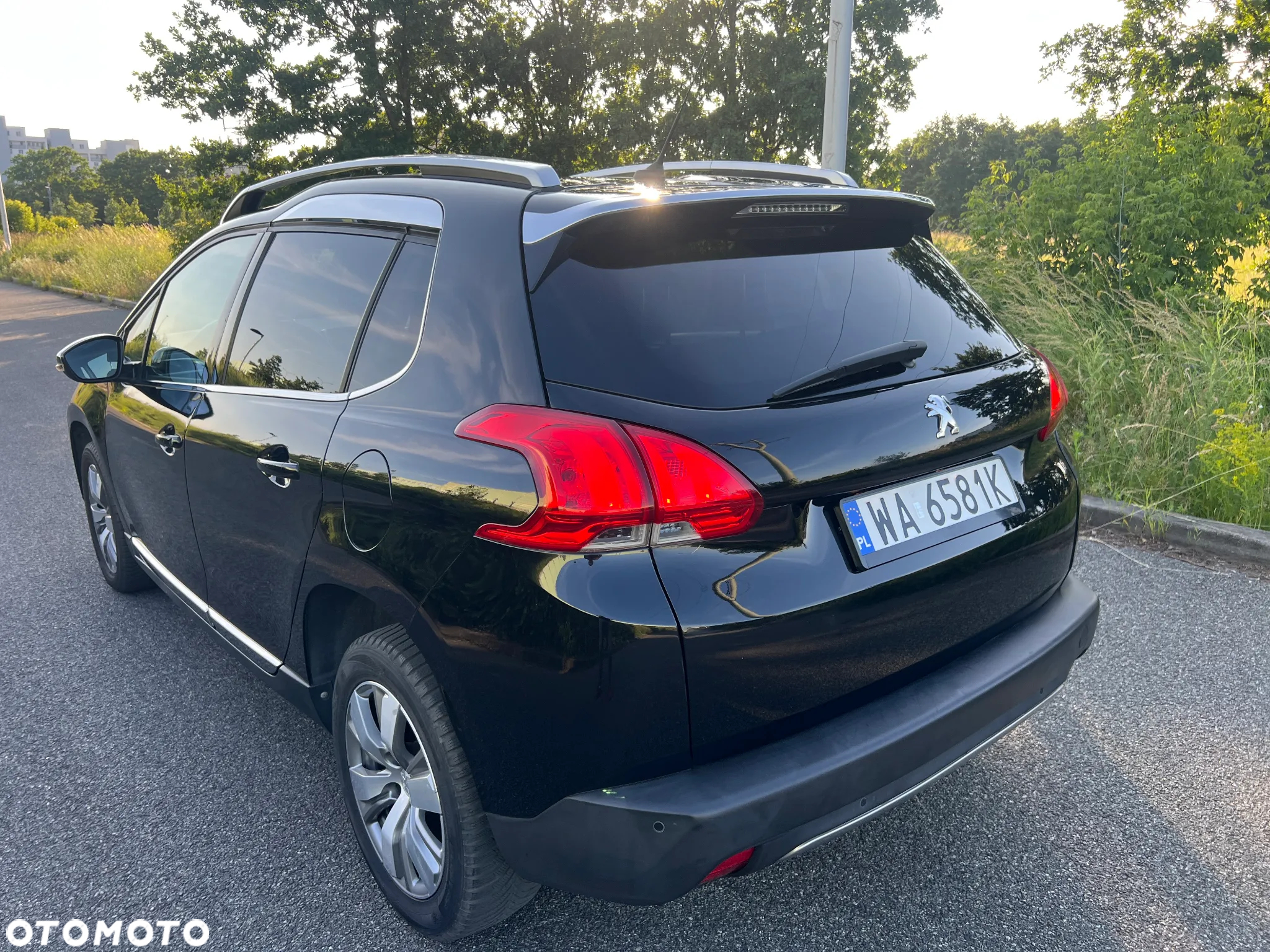 Peugeot 2008 - 10