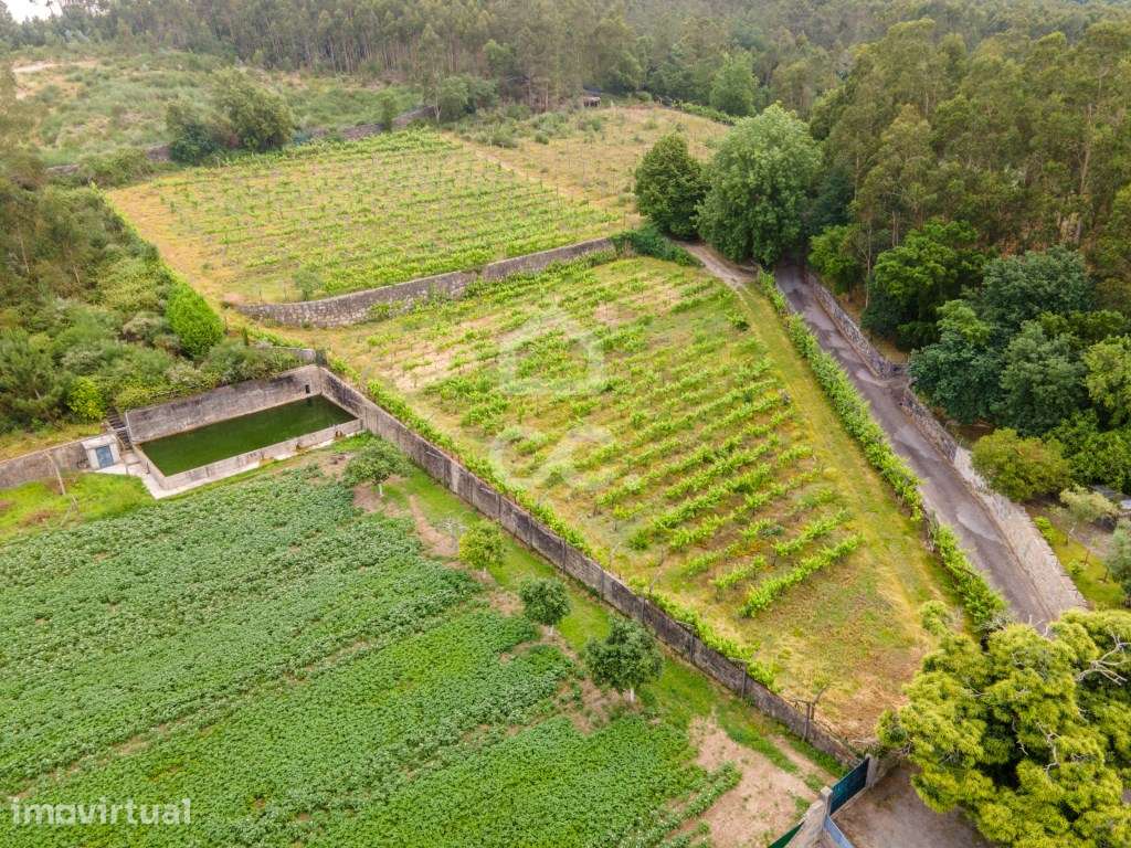 Terreno Rústico com 8000m2 em Lemenhe - Excelente Oportunidade! - Grande imagem: 3/16