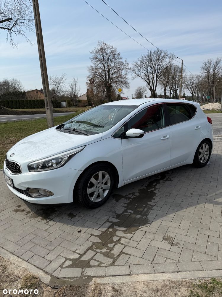 Kia Ceed - 1