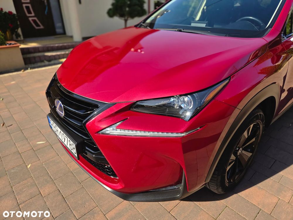 Lexus NX 300h Elite AWD - 7
